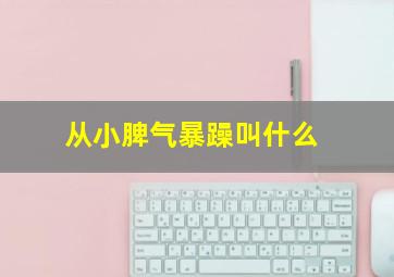 从小脾气暴躁叫什么