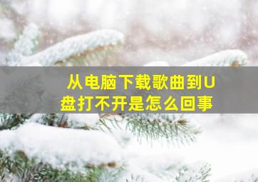 从电脑下载歌曲到U盘打不开是怎么回事