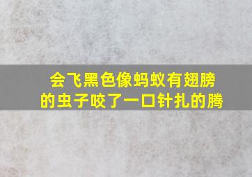 会飞黑色像蚂蚁有翅膀的虫子咬了一口针扎的腾