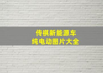 传祺新能源车纯电动图片大全