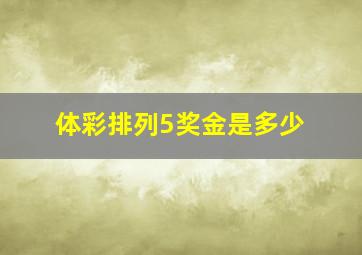 体彩排列5奖金是多少