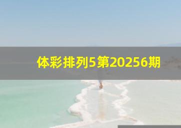 体彩排列5第20256期