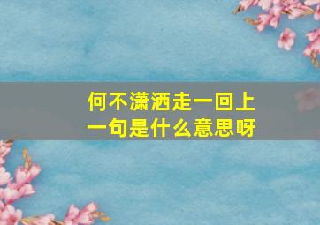 何不潇洒走一回上一句是什么意思呀