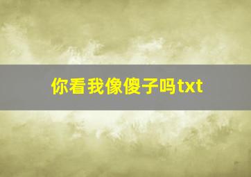 你看我像傻子吗txt