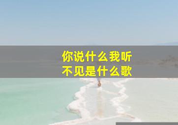 你说什么我听不见是什么歌