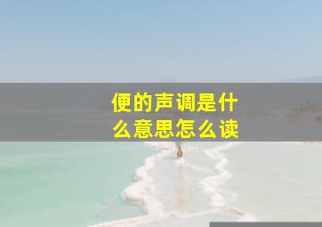 便的声调是什么意思怎么读