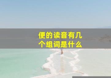 便的读音有几个组词是什么