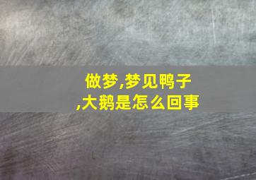 做梦,梦见鸭子,大鹅是怎么回事