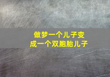 做梦一个儿子变成一个双胞胎儿子