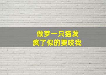 做梦一只猫发疯了似的要咬我