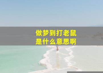 做梦到打老鼠是什么意思啊