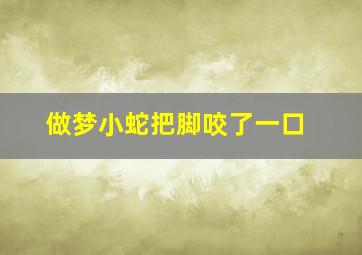 做梦小蛇把脚咬了一口