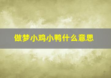 做梦小鸡小鸭什么意思