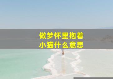 做梦怀里抱着小猫什么意思