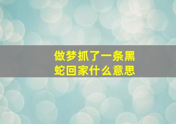 做梦抓了一条黑蛇回家什么意思