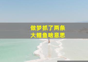 做梦抓了两条大鲤鱼啥意思