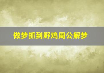 做梦抓到野鸡周公解梦