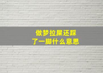 做梦拉屎还踩了一脚什么意思