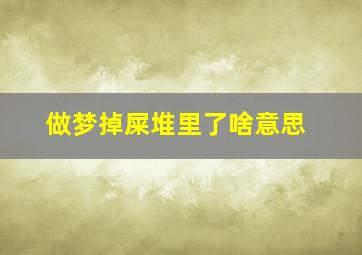 做梦掉屎堆里了啥意思