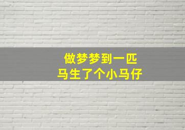 做梦梦到一匹马生了个小马仔