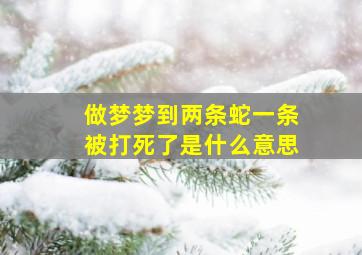 做梦梦到两条蛇一条被打死了是什么意思