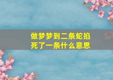 做梦梦到二条蛇掐死了一条什么意思