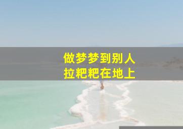 做梦梦到别人拉粑粑在地上