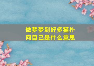 做梦梦到好多猫扑向自己是什么意思