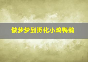 做梦梦到孵化小鸡鸭鹅