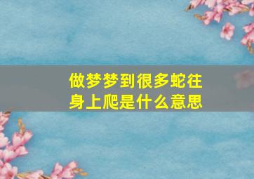 做梦梦到很多蛇往身上爬是什么意思