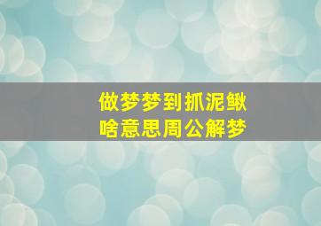 做梦梦到抓泥鳅啥意思周公解梦