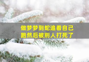 做梦梦到蛇追着自己跑然后被别人打死了