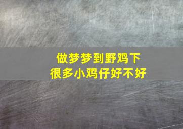 做梦梦到野鸡下很多小鸡仔好不好