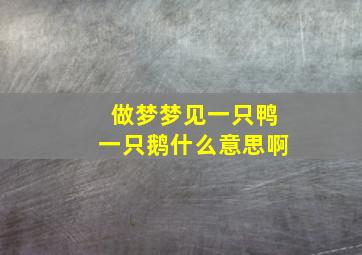 做梦梦见一只鸭一只鹅什么意思啊