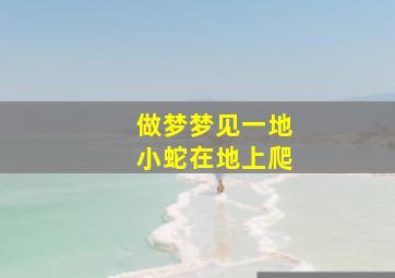 做梦梦见一地小蛇在地上爬