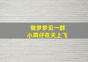 做梦梦见一群小鸡仔在天上飞