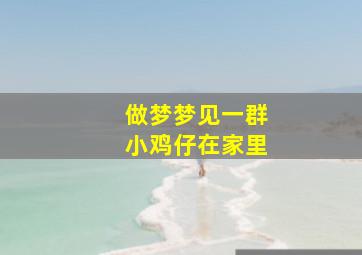 做梦梦见一群小鸡仔在家里