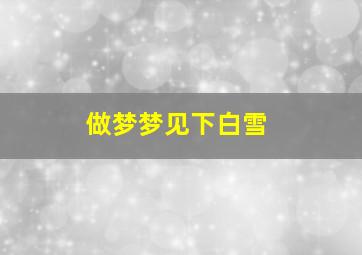 做梦梦见下白雪