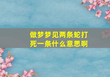 做梦梦见两条蛇打死一条什么意思啊