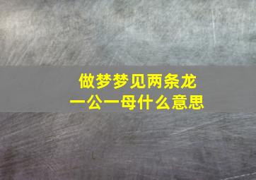 做梦梦见两条龙一公一母什么意思