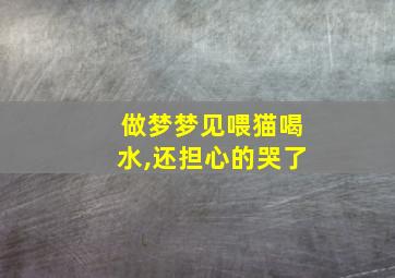 做梦梦见喂猫喝水,还担心的哭了