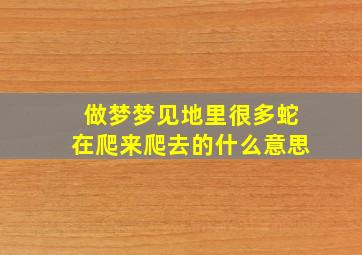 做梦梦见地里很多蛇在爬来爬去的什么意思