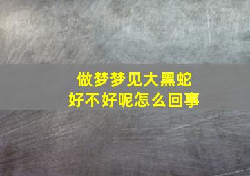 做梦梦见大黑蛇好不好呢怎么回事