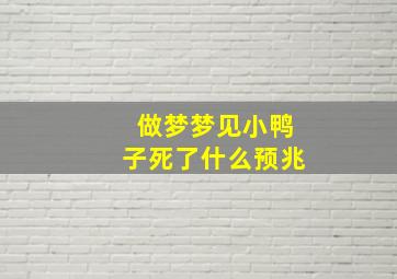 做梦梦见小鸭子死了什么预兆