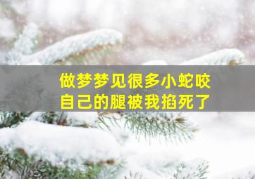 做梦梦见很多小蛇咬自己的腿被我掐死了