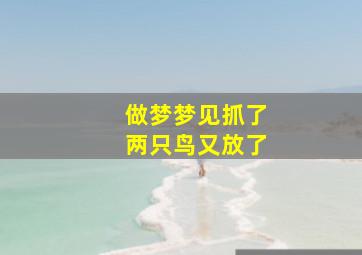 做梦梦见抓了两只鸟又放了