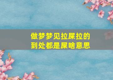 做梦梦见拉屎拉的到处都是屎啥意思