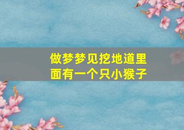 做梦梦见挖地道里面有一个只小猴子