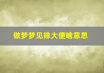 做梦梦见排大便啥意思