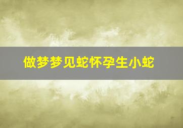 做梦梦见蛇怀孕生小蛇